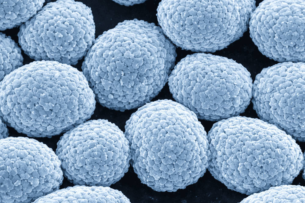 Critical Minerals Science Grant